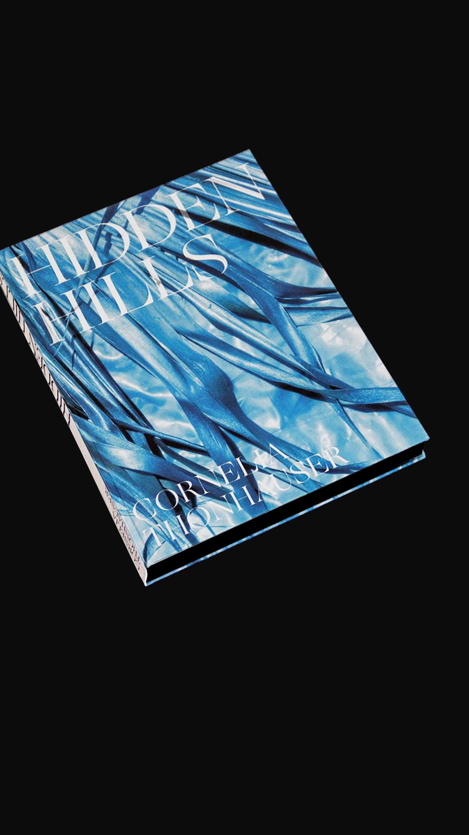 <p>Hidden Hills by Cornelia Thonhauser – Book</p>