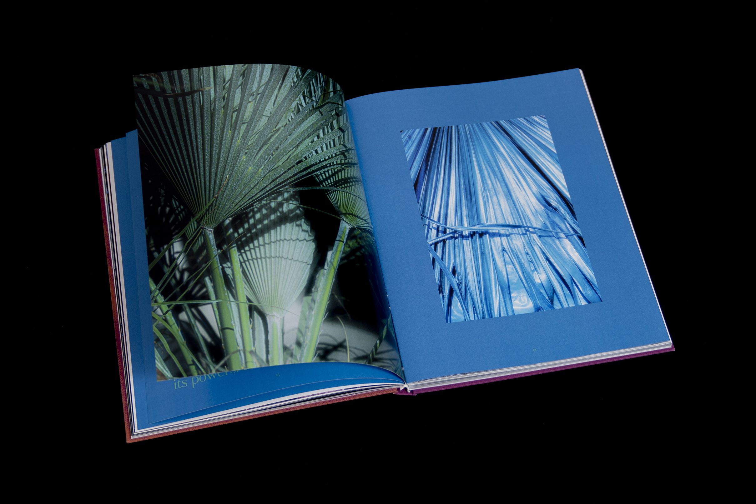 Hidden Hills by Cornelia Thonhauser – Book
