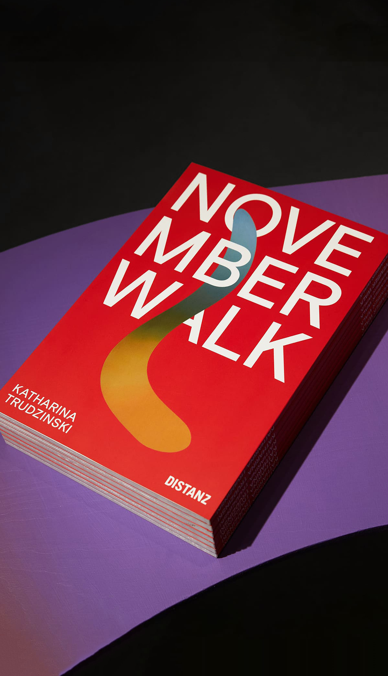 <p>NOVEMBER WALK – Book</p>
